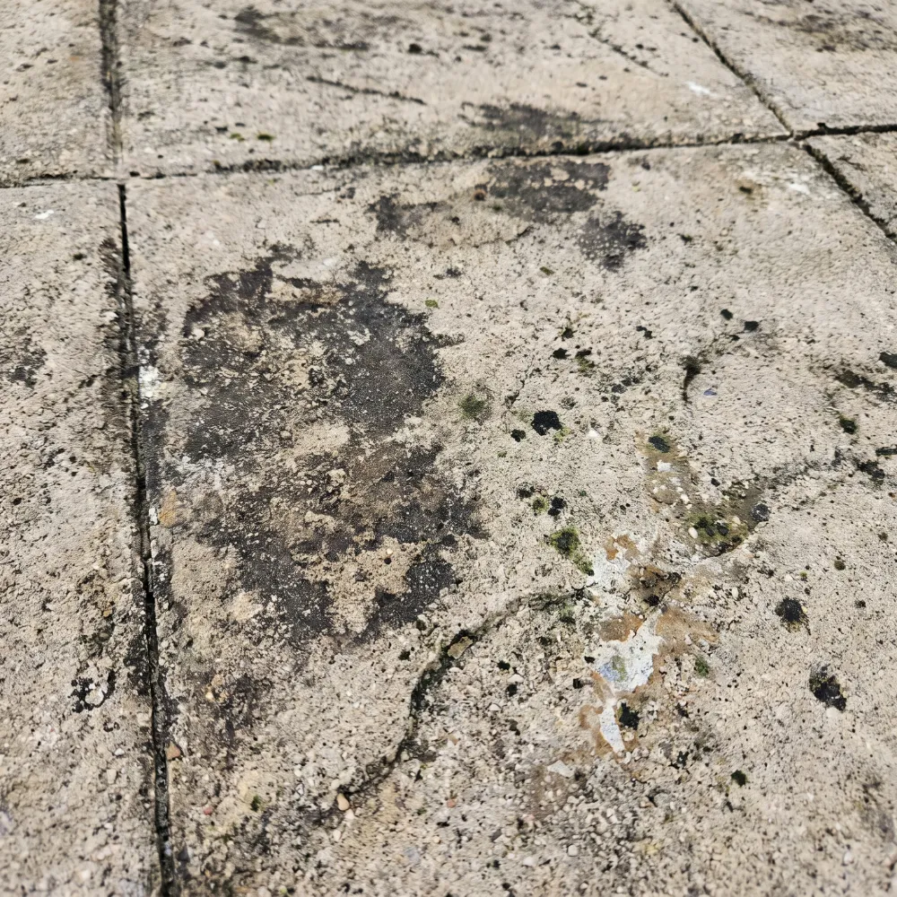 Pool Deck Power Washing before