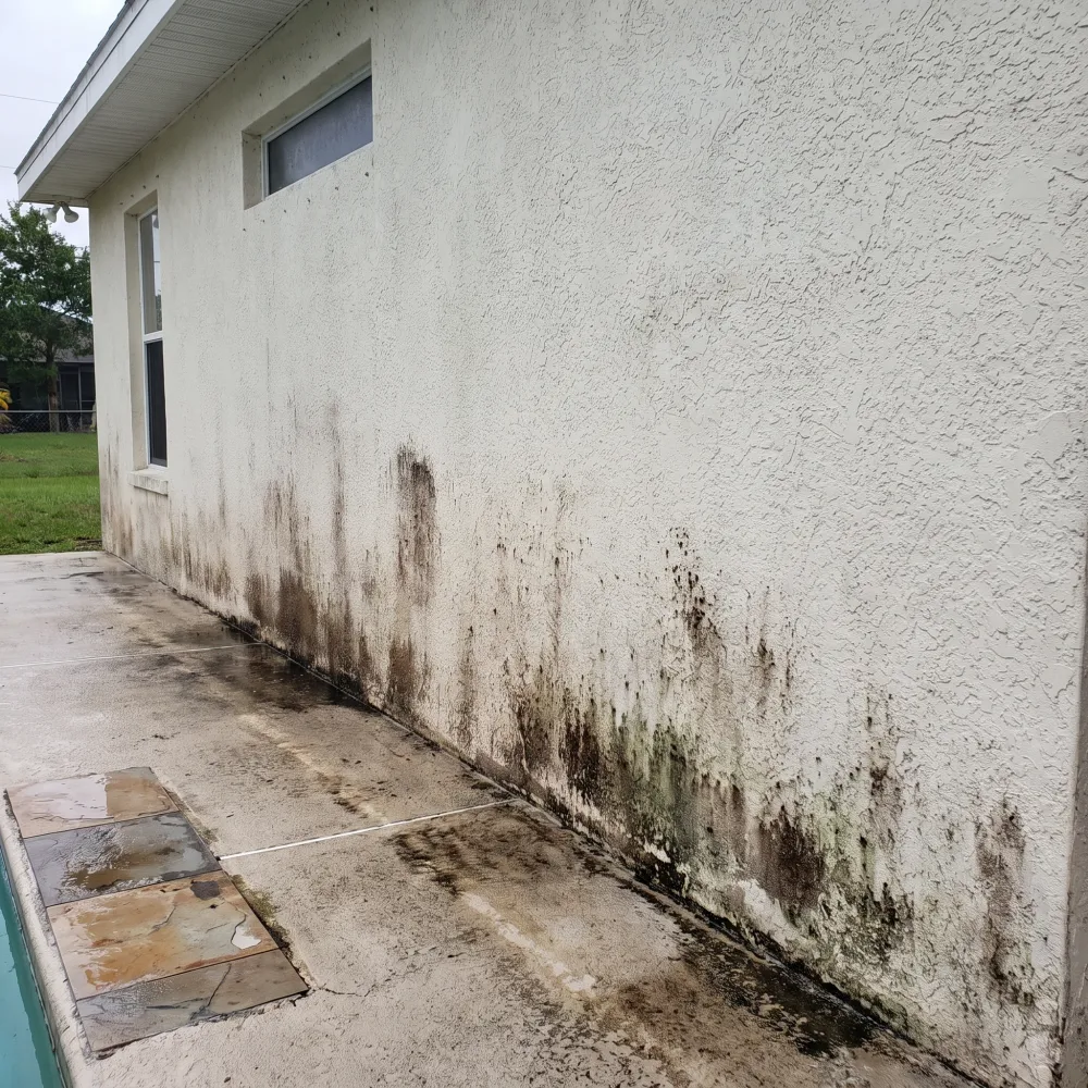Low-Pressure Siding Care before